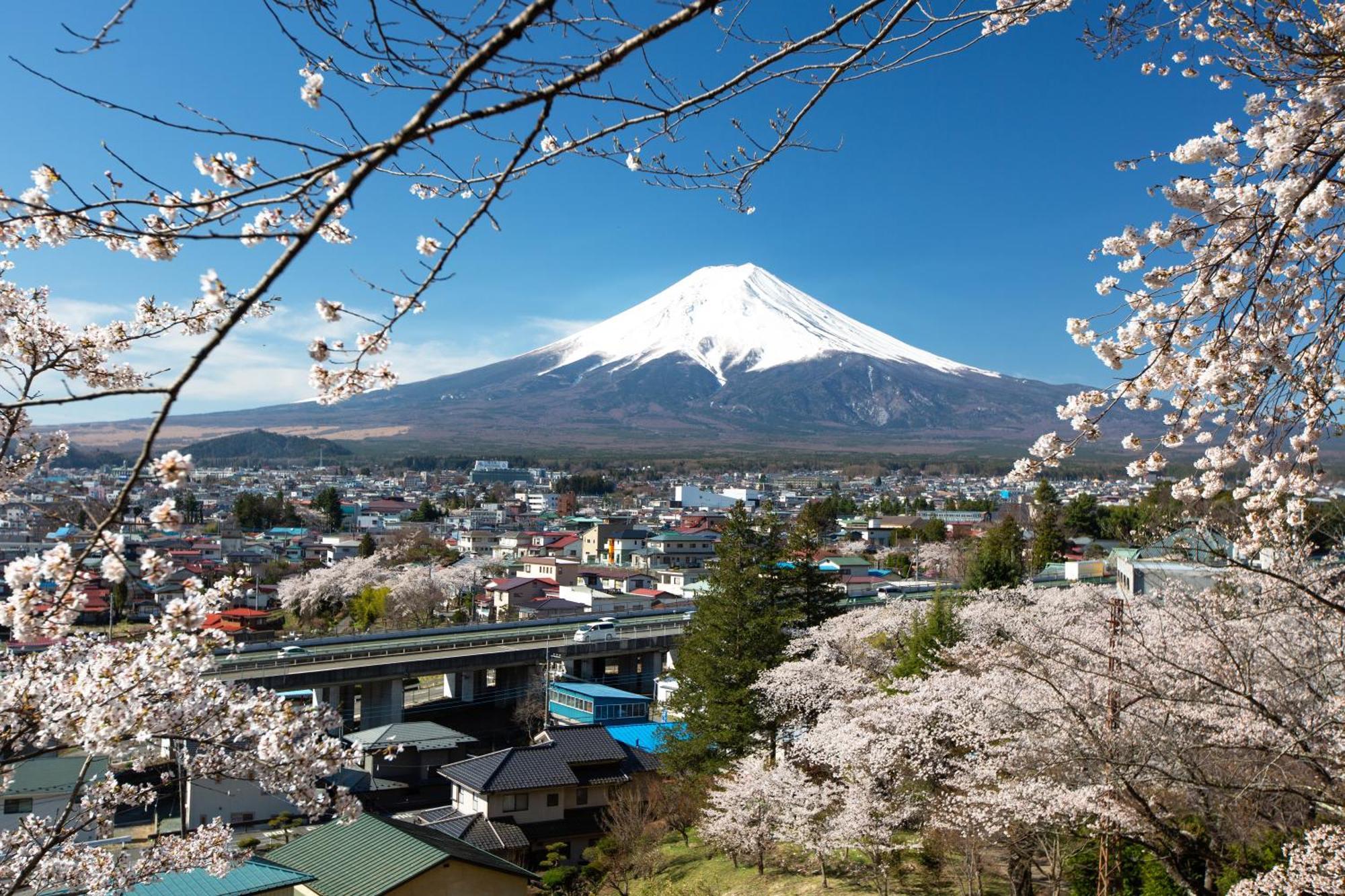 Sorapia Villa Mt.Fuji Front Fujikawaguchiko Eksteriør bilde